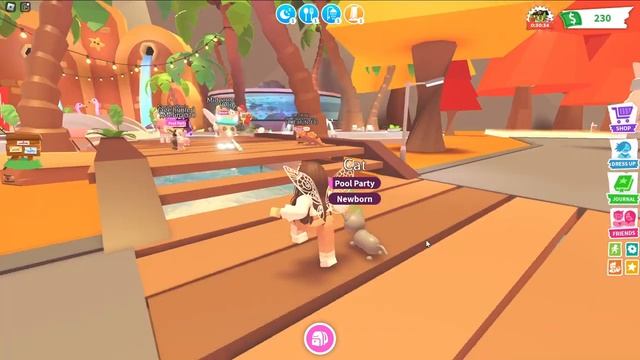 POOR TO RICH CHALLENGE in 7 DAYS! ? DAY 1 | Roblox Adopt Me ? смотреть онлайн