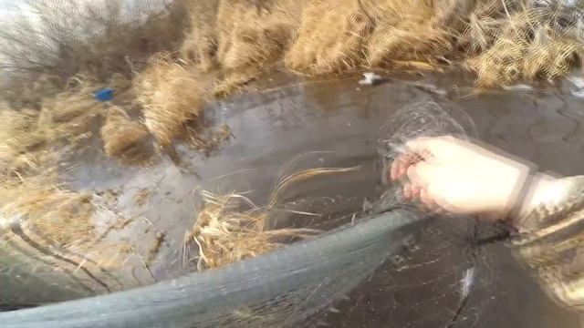 Кастинговая сеть ранней весной. смотреть онлайн