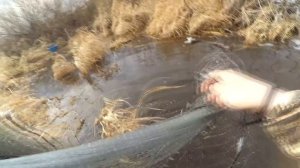 Кастинговая сеть ранней весной.