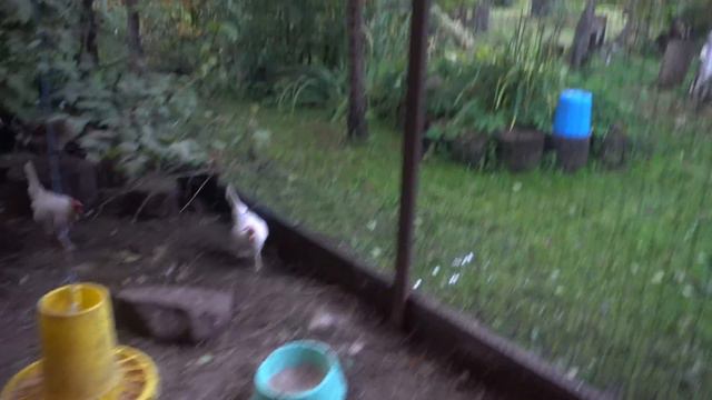 ВЛОГ: поездки на дачу. VLOG: trip to our country house. смотреть онлайн