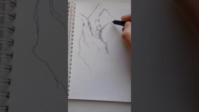 Весенний скетч в стиле Рембрандта. смотреть онлайн