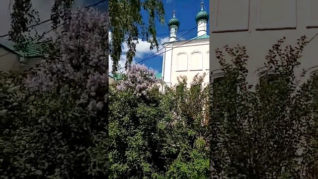 Никольский монастырь Переславля-Залесского, весеннее цветение смотреть онлайн