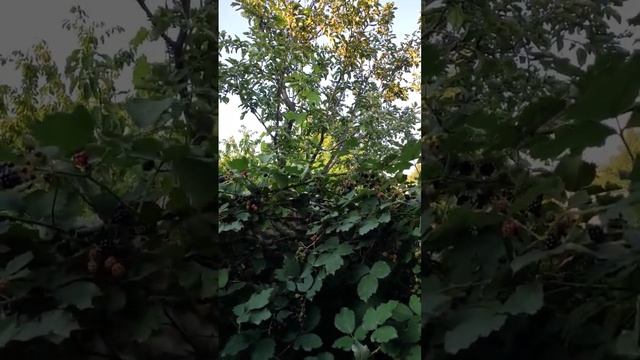 Славянск. Воздушная тревога. смотреть онлайн