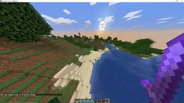 Droam 1.16 Minecraft Speedrun *INSANE LUCK* *MODS CALLED* (HOG WARP) (REAL) смотреть онлайн