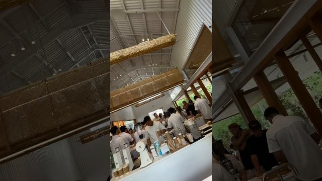 Лучший кофе на Бали смотреть онлайн