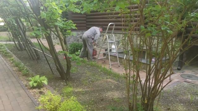 Обработка участка от клещей, вредителей и болезней растений смотреть онлайн