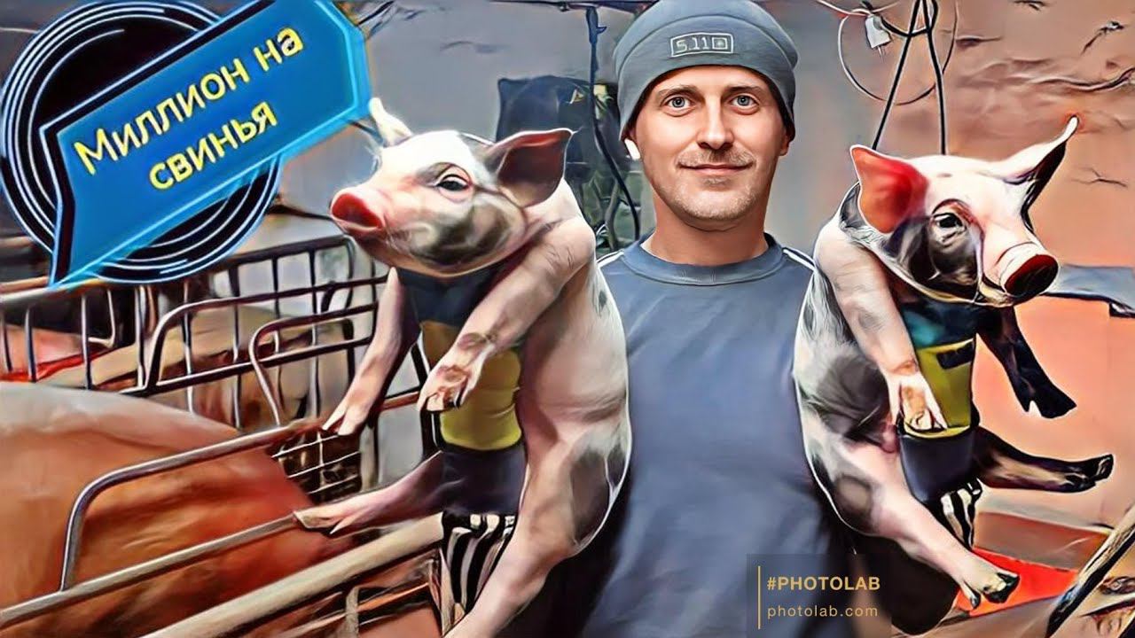 Новая элитная генетика на нашем хозяйстве! Плюс 100 голов, свинарник трещит по швам! смотреть онлайн