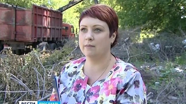 В Ярославле ликвидировали очередную "стихийную" свалку смотреть онлайн