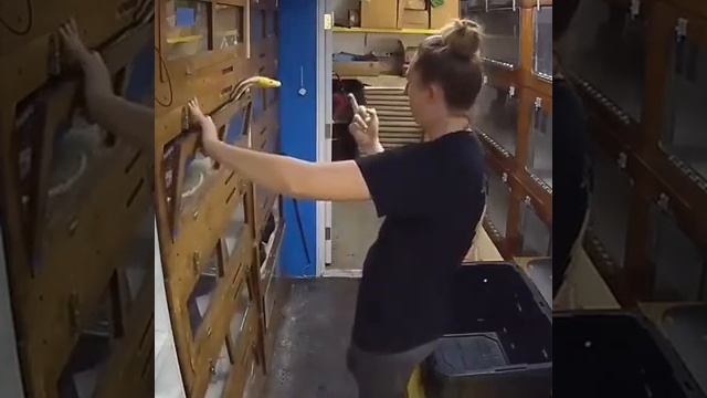 фак змее смотреть онлайн