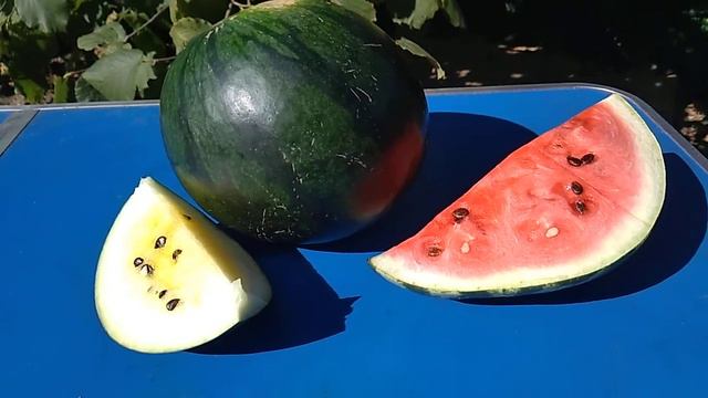 Любимые арбузы, чем полезны смотреть онлайн