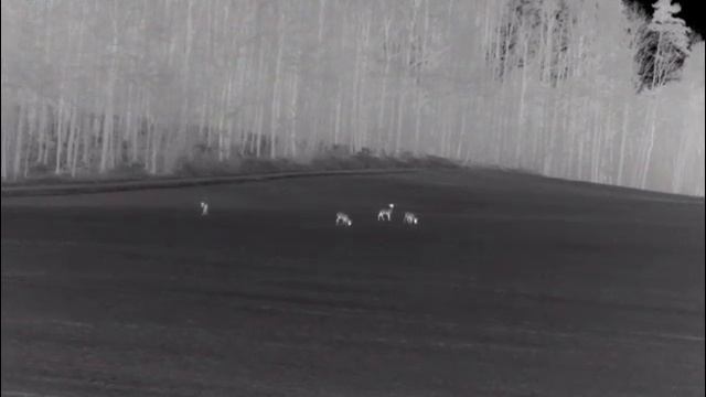 PULSAR Helion XP 50 смотреть онлайн