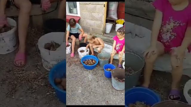 Работящий смотреть онлайн