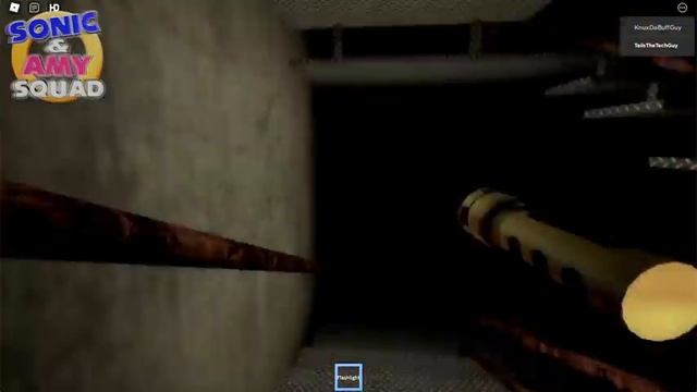 ? ESCAPE the ASYLUM!! - Tails & Knuckles Play ROBLOX Asylum Chapter 1!! (Sonic & Amy Squad) смотреть онлайн