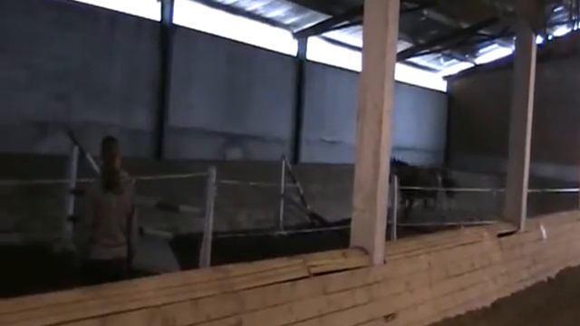 Балчуг (2007 г.р.) прыжки на свободе смотреть онлайн