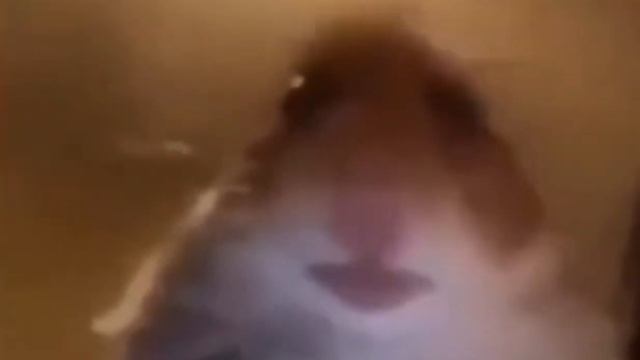 тест на шизу уровень: невозможно смотреть онлайн