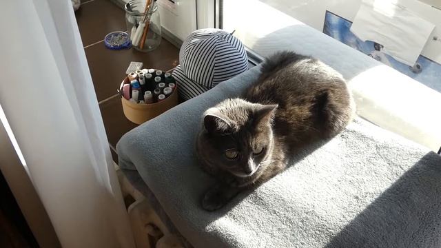 Как пошить лиф на запах своими руками + бесплатная выкройка смотреть онлайн