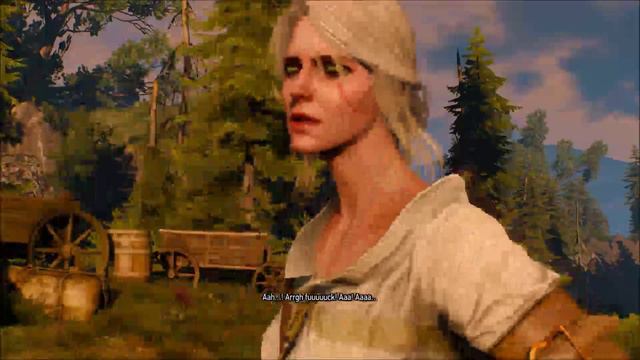 Geralt of Rivia, Family Counselor - Let's Play The Witcher 3: Wild Hunt Episode 38 смотреть онлайн