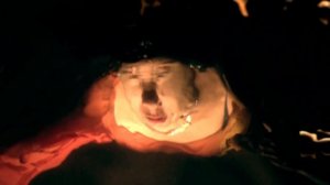 Torre Florim (DE STAAT) - Firestarter (Official Music Video)