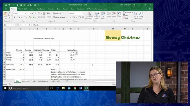 #format a #worksheet Part 1 - #microsoft #excel #essentials смотреть онлайн