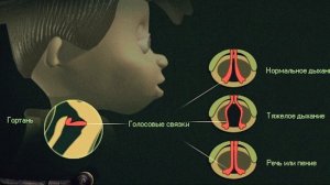 ВОКАЛ С НУЛЯ! День 13. Диафрагма. Связки. Резонаторы | Как научиться петь!