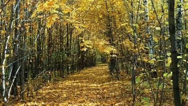 САМАРСКИЙ КРАЙ смотреть онлайн