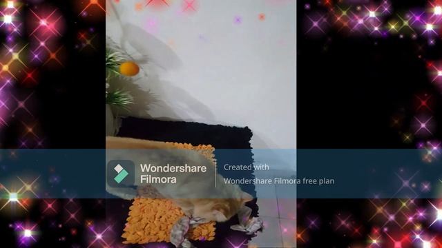 Innocent Male Cat After Bath Amazing смотреть онлайн