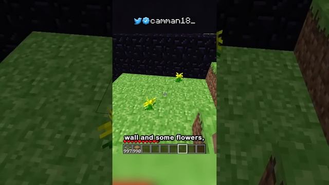 minecraft looked like THIS. смотреть онлайн