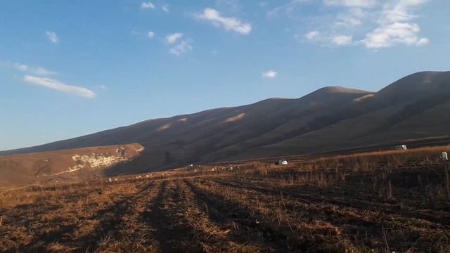 НОЕВ КОВЧЕГ / Собираем картошку/2/ смотреть онлайн