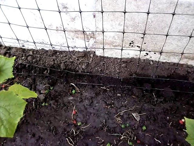 Парник под огурцы смотреть онлайн
