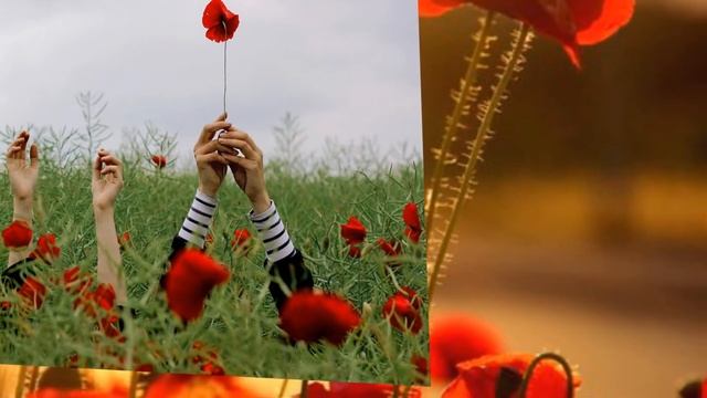 Любовь не любит, когда предают. Галина Мирошниченко смотреть онлайн