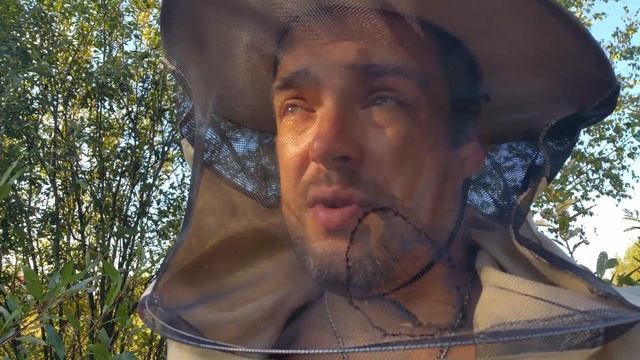 Обработка пчел щавелевой кислотой | Результаты обработки щавелевой кислотой смотреть онлайн