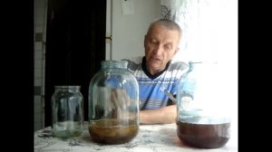 Если чайный гриб не всплывает, что делать.