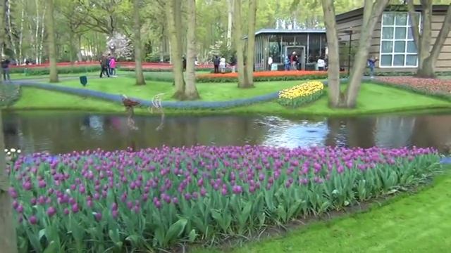 Кокенхов 2. Восхитительный весенний парк тюльпанов. Амстердам. Марина Линдхолм смотреть онлайн