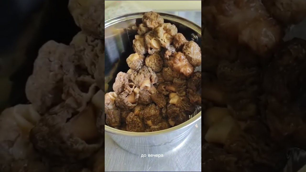 Сморчки замороженные 1кг смотреть онлайн