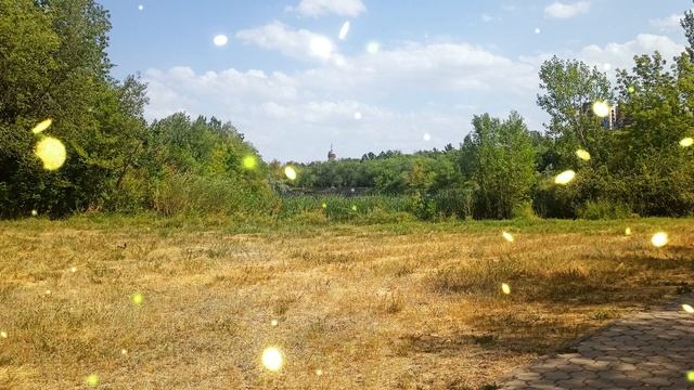 Свекровь приехала погостить и уже пару месяцев, как живет, и съезжать не собирается смотреть онлайн