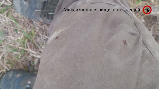 Лучшая защита от клещей. Костюм биостоп и гардекс..mp4 смотреть онлайн