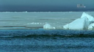 Северный Ледовитый океан - Замёрзшие моря