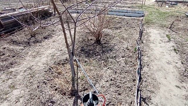 Весенняя обработка сада от болезней. Профилактика. смотреть онлайн