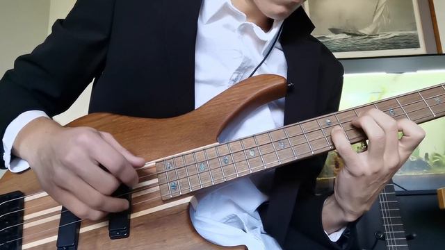 Interstellar Theme - Bass Cover