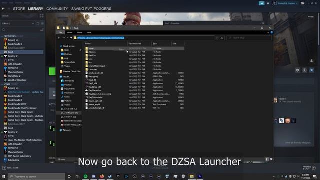How To Fix DZSA Error 