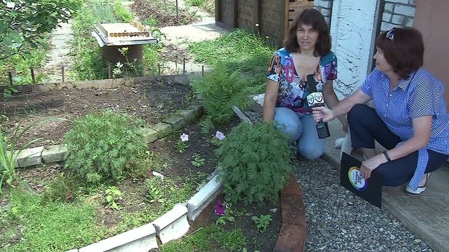 Дача Камень желаний Ольги Барановской 1 часть. смотреть онлайн