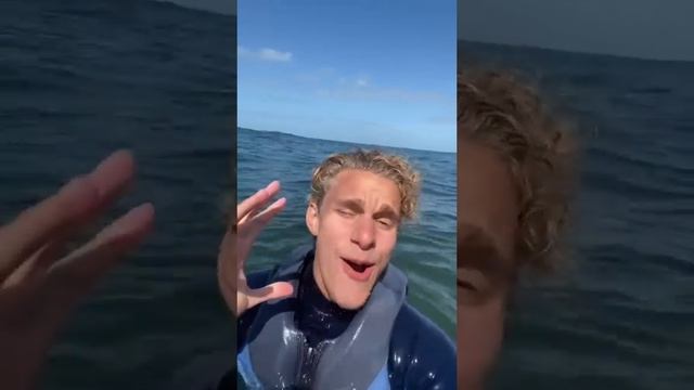 Lost in the ocean! #shorts смотреть онлайн