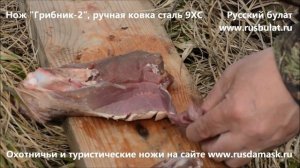 Русский булат. Нож «Грибник-2, ручная ковка сталь 9ХС