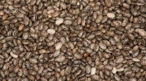 Семена чиа. Полезные свойства и противопоказания.