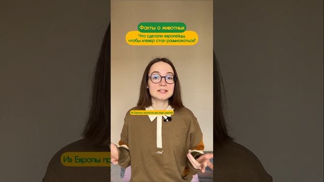 Слышали такую байку? (не байка вовсе)) Подписывайся, если интересны факты о животных!))) смотреть онлайн