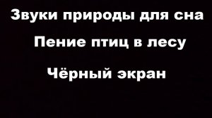 Звуки природы для сна Пение птиц в лесу  Шум дождя Чёрный экран