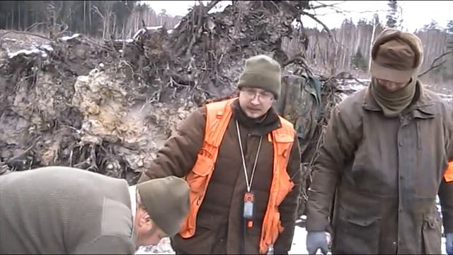 12.12.2020г. разделка лося продолжается . смотреть онлайн