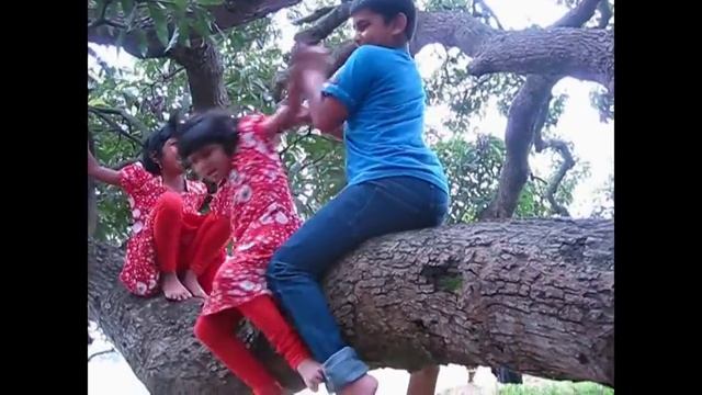 brave boy save life of child falling from tree funny смотреть онлайн