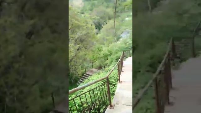 Ташкентская область, город Янгиабад 27.04.2022г. смотреть онлайн