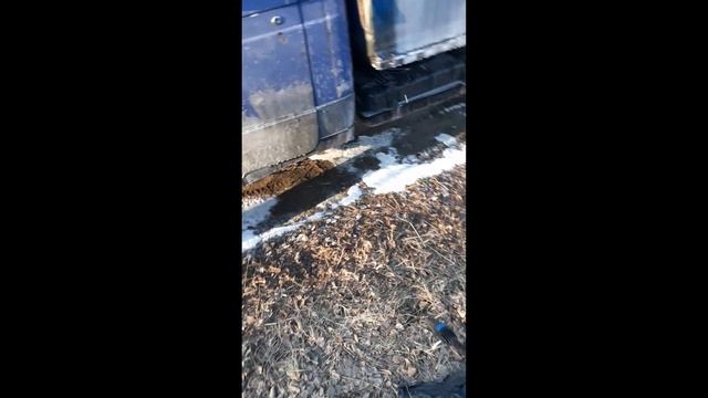 FinePower отзыв в процессе эксплуатации